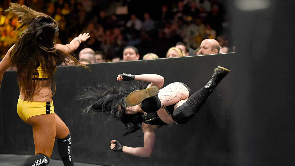 Nikki Bella vs. Paige - Divas Title Match: photos | WWE