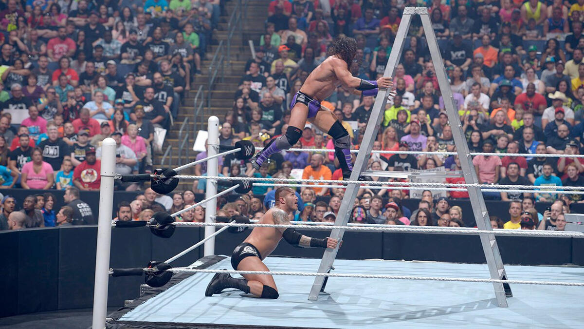 Money in the Bank Contract Ladder Match photos WWE