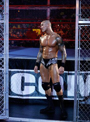 john cena vs randy orton wwe championship