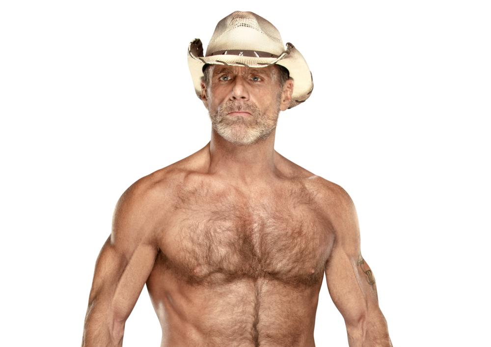 Shawn_Michaels_Pro--d4bc7c99be4fcec510501f5e7d25bde7.png