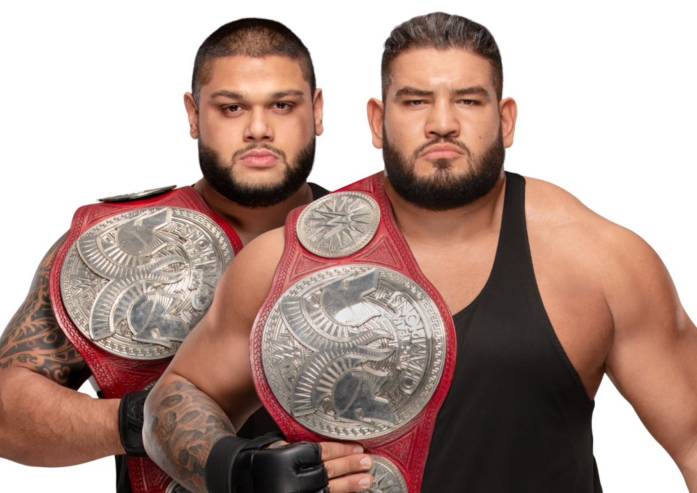 Raw Tag Team Championships | WWE