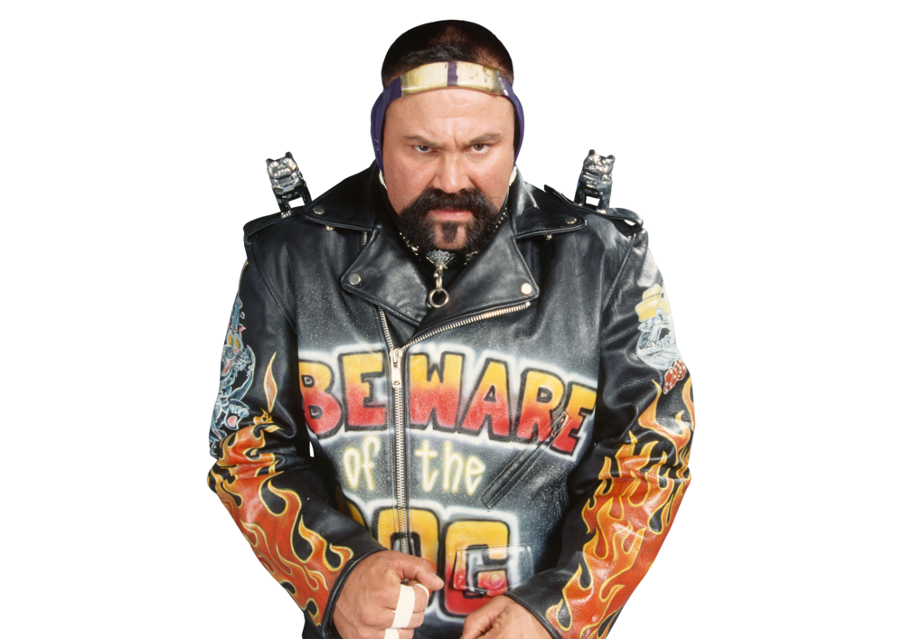 Rick Steiner WWE