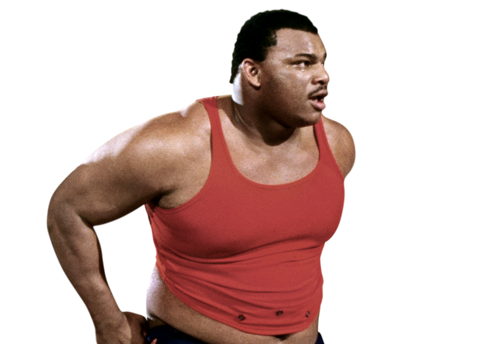 William Perry WWE