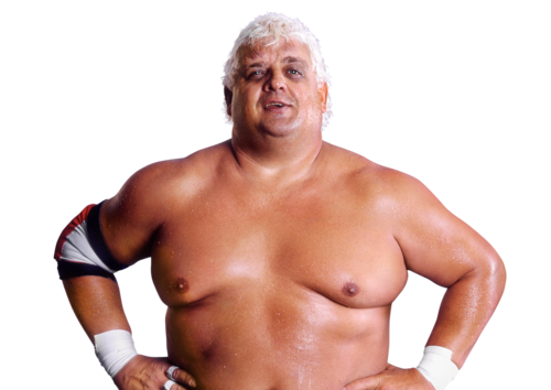 Dusty_Rhodes_pro.png