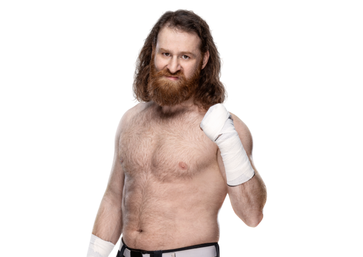 Sami Zayn