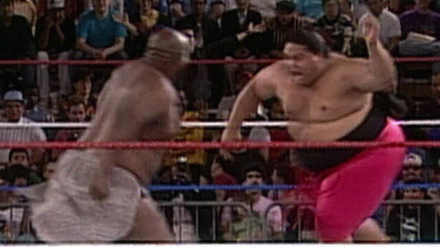 big daddy v vs big show