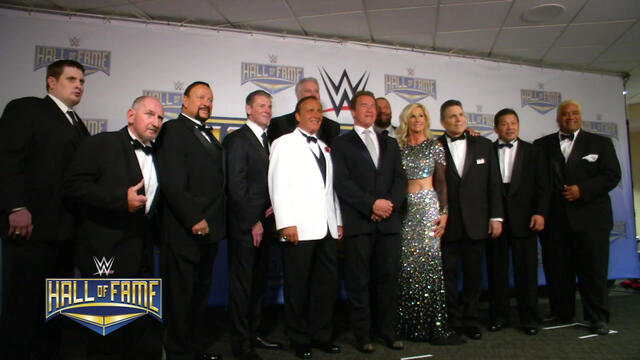 Exclusive videos from the 2015 WWE Hall of Fame induction ceremony