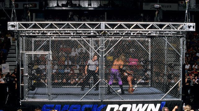 wwe action figure cage