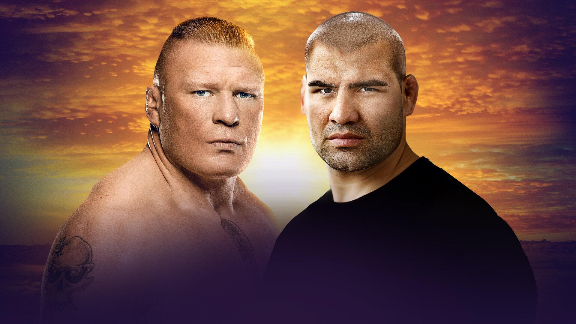 Lesnar vs Velasquez