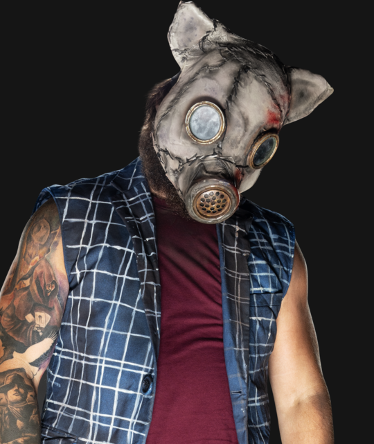 Walter WWE 2K20 Profile Custom