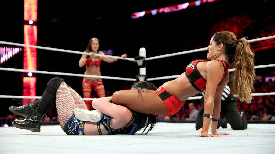 Pin on the bellas twins