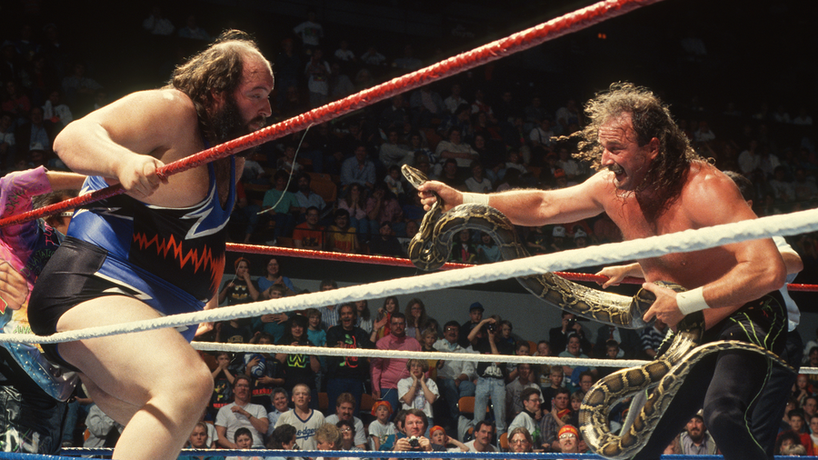 jake the snake roberts